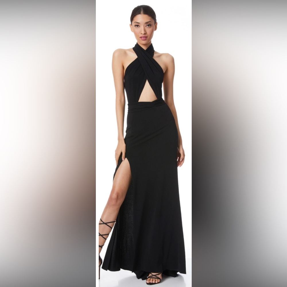 NWT Alice & Olivia Maxi Dress